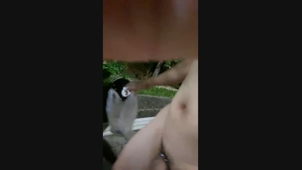 tinypineapple6  26-09-2023 Recorded Video natural