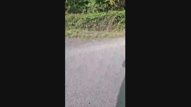 Outdoorgeil1  28-09-2023 Recorded Video Webcam