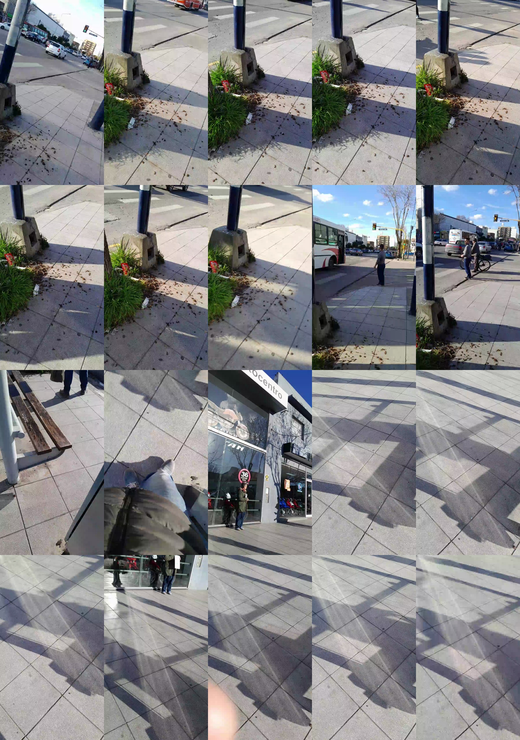 mardelplata  27-09-2023 Recorded Video Recorded
