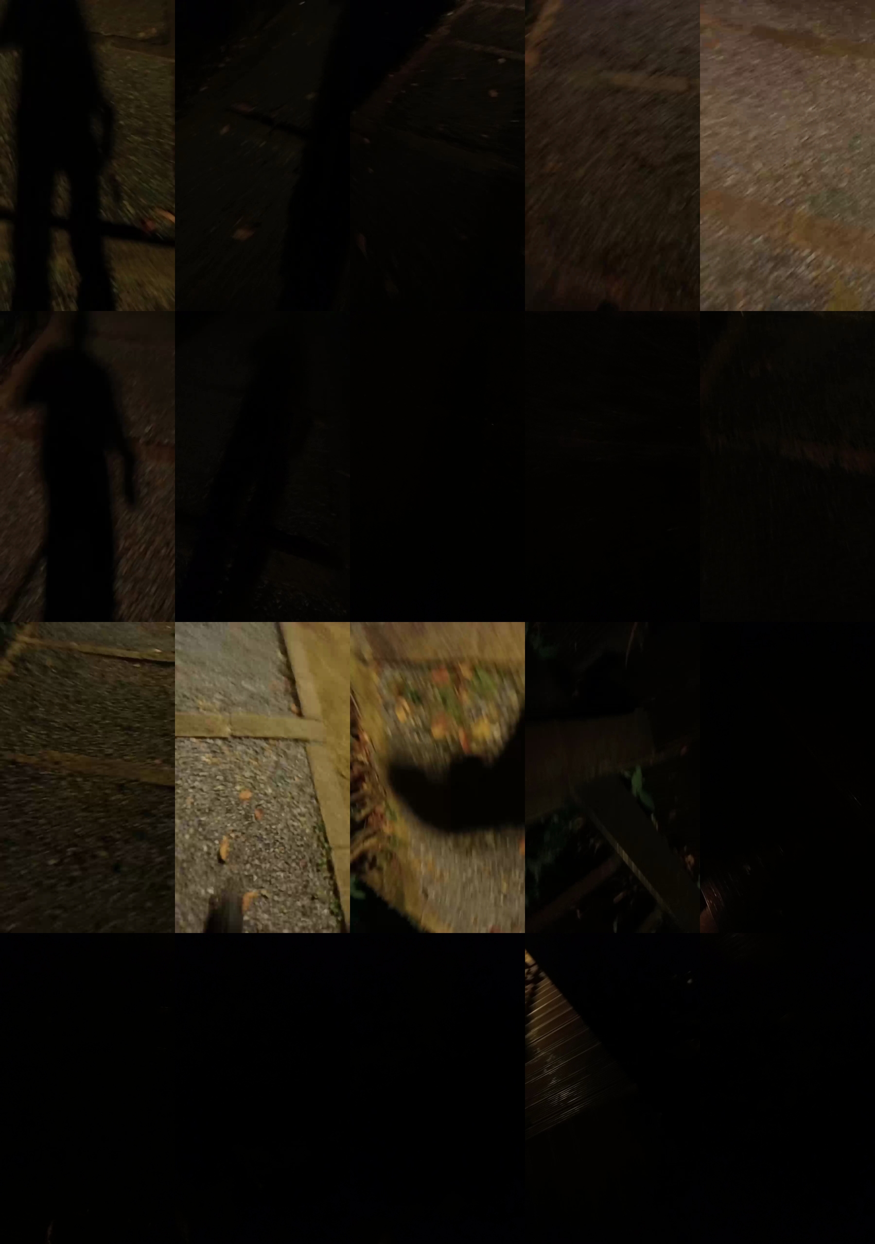 wildbeasttop69  28-09-2023 Recorded Video big