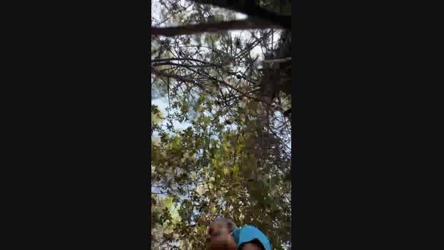 00max  01-10-2023 Recorded Video cute