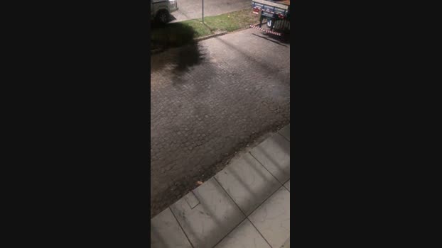 welllllll1  01-10-2023 Recorded Video harddick
