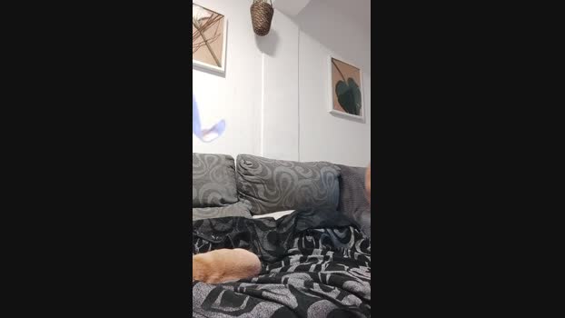 Ferezferez  02-10-2023 Recorded Video oral