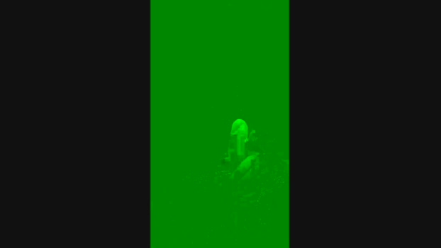 Vitinloirin291  02-10-2023 Recorded Video suckcock