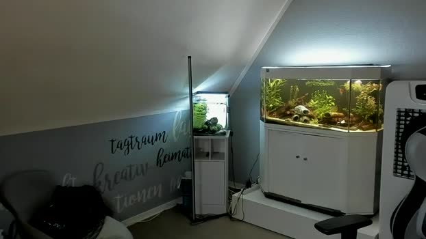 ronhill13  01-10-2023 Recorded Video playtime
