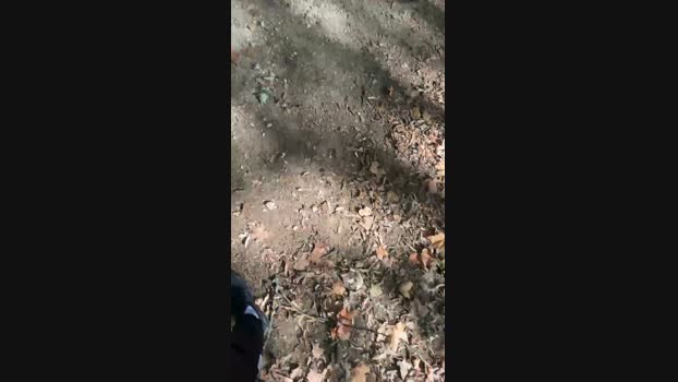 anonymes69  05-10-2023 Recorded Video deepthroat