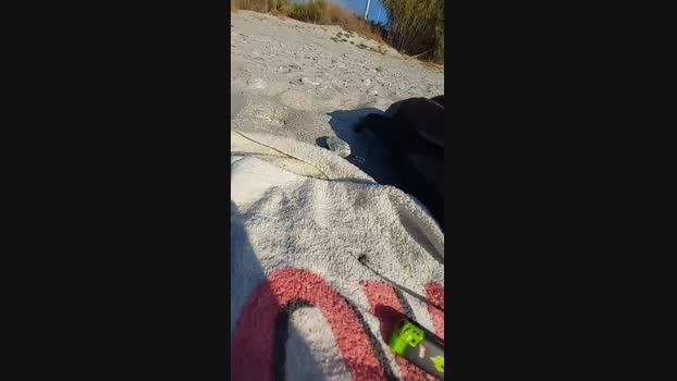 guidoRC  06-10-2023 Recorded Video Ass