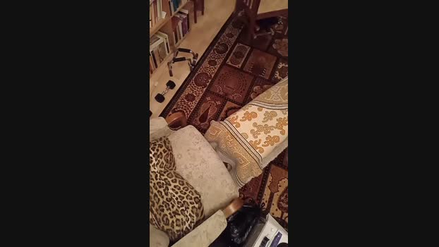 weed_whacker  05-10-2023 Recorded Video gay