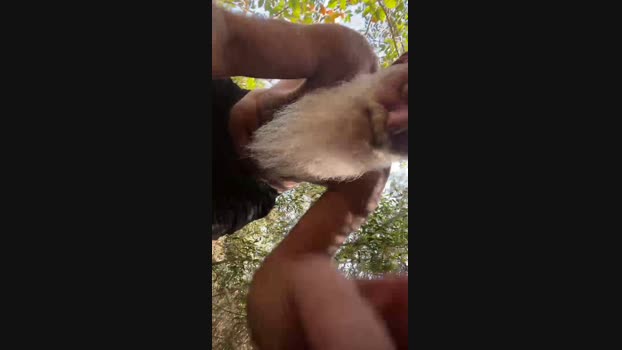 00max  08-10-2023 Recorded Video squirt