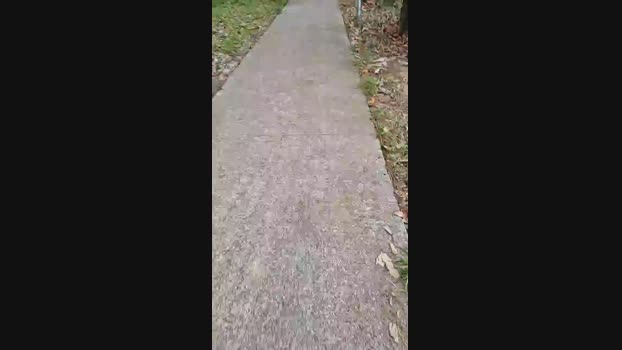 Arturito  08-10-2023 Recorded Video oral