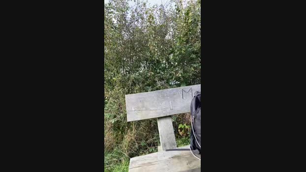 Zeigegeiler69  08-10-2023 Recorded Video Nude