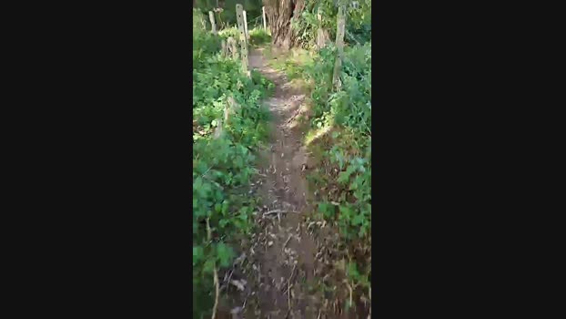 monsterlover  08-10-2023 Recorded Video naughty