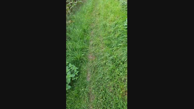 monsterlover  08-10-2023 Recorded Video jerkoff