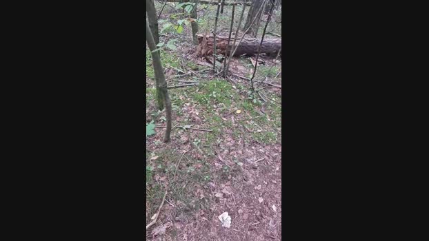 Outdoorgeil1  09-10-2023 Recorded Video bigload
