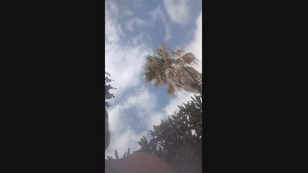 Pe163109  09-10-2023 Recorded Video natural
