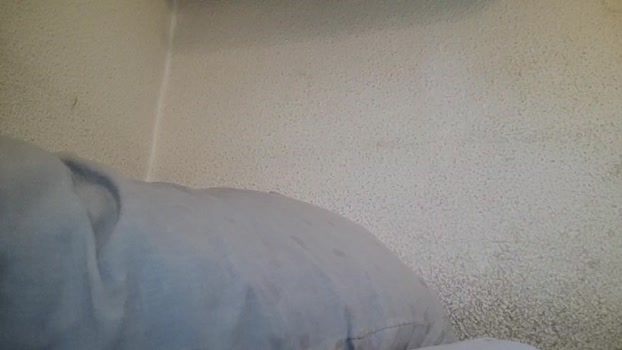 SanoReal  08-10-2023 Recorded Video deep