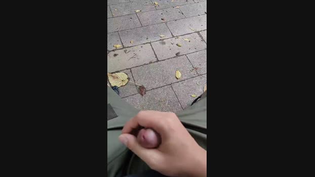 paperman_tp  09-10-2023 Recorded Video Ass
