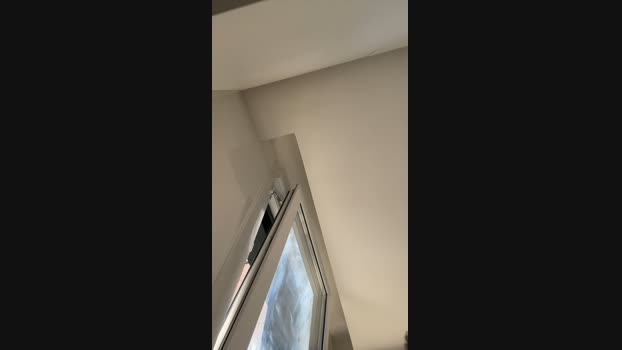 xito7  10-10-2023 Recorded Video Video