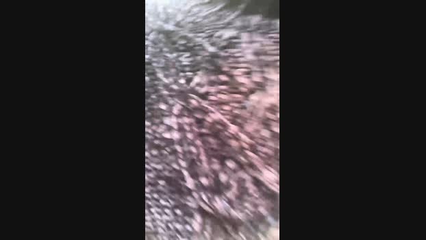 AndyXLcze  12-10-2023 Recorded Video skinny