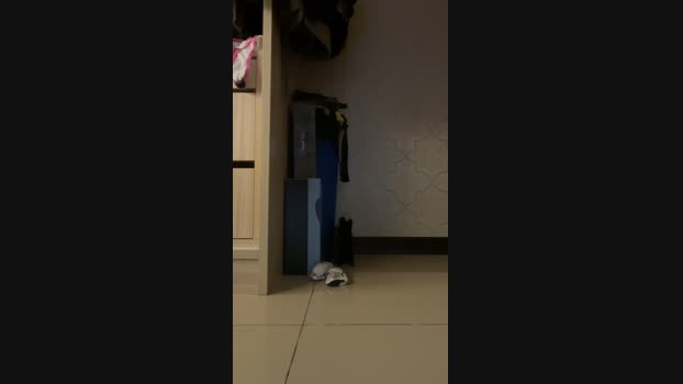 Bunbu2  11-10-2023 Recorded Video big