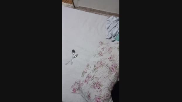 paulistasafado2  11-10-2023 Recorded Video jerkoff