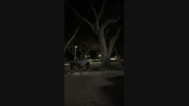 pikabill  11-10-2023 Recorded Video hard