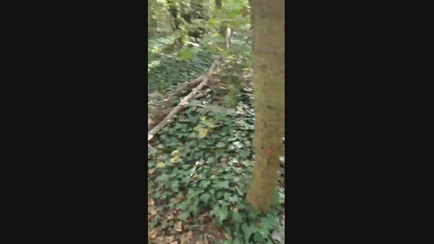 Scarearies  13-10-2023 Recorded Video Naked
