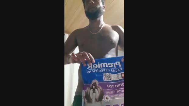 WolffCat  13-10-2023 Recorded Video Webcam