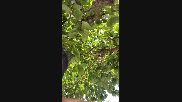 Gtvrd82  14-10-2023 Recorded Video moan