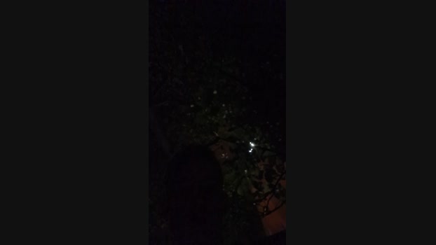 anthony2215  14-10-2023 Recorded Video bigass