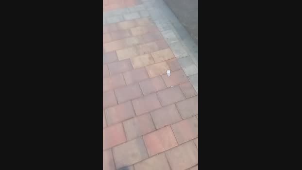 Zayd_69  14-10-2023 Recorded Video show