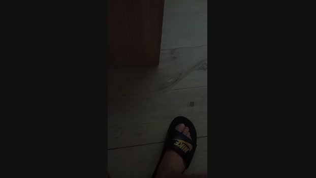 ericperez5  15-10-2023 Recorded Video analtoy