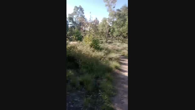 Laoquedad  15-10-2023 Recorded Video yummy