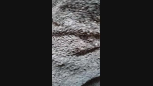oliway  16-10-2023 Recorded Video juicy