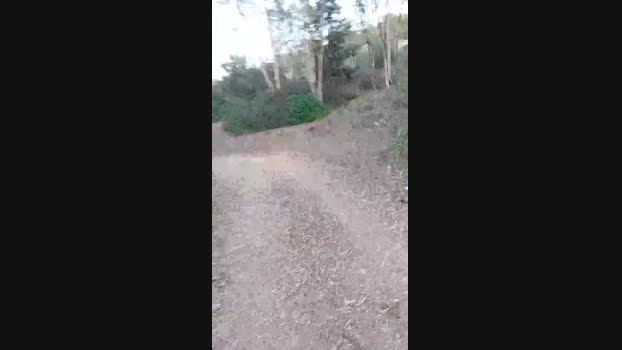 pathpeter  15-10-2023 Recorded Video love