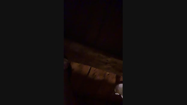 Black_Mamba_XL  17-10-2023 Recorded Video bigass