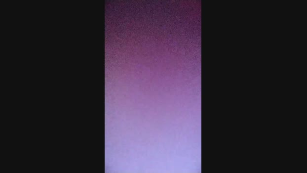 Gorilla2023  17-10-2023 Recorded Video beautiful