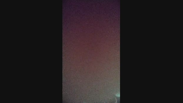 Gorilla2023  18-10-2023 Recorded Video legs