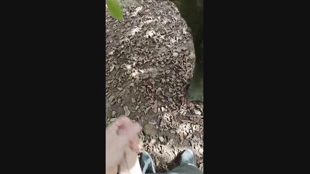 MRCS234  20-10-2023 Recorded Video bigload