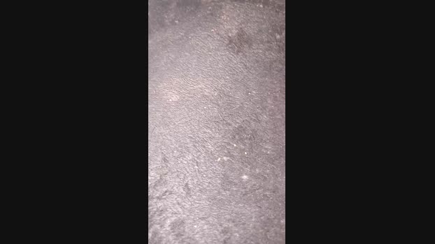 SteveyNJohnny  20-10-2023 Recorded Video deepthroat