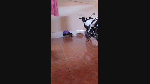 novinho_braz  20-10-2023 Recorded Video twink