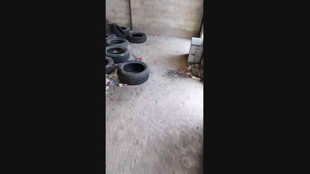 pathpeter  20-10-2023 Recorded Video harddick