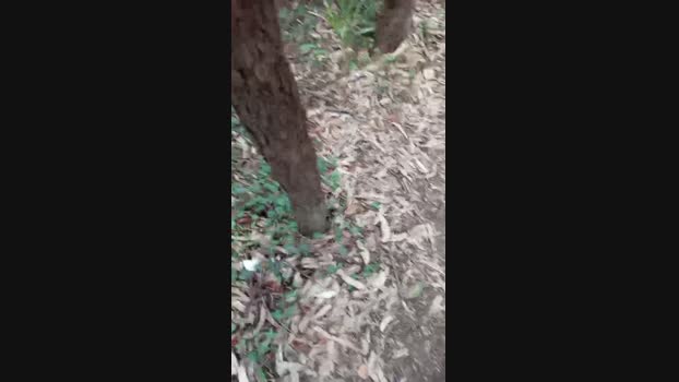 thomas_20fun  19-10-2023 Recorded Video blowjob