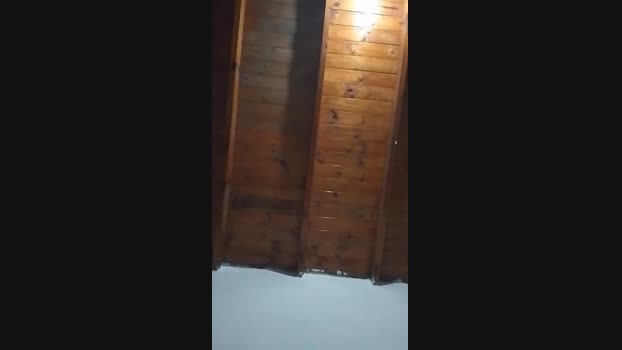 Platinumdick22