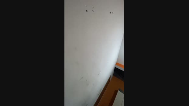 Kauzzzz  22-10-2023 Recorded Video Recorded