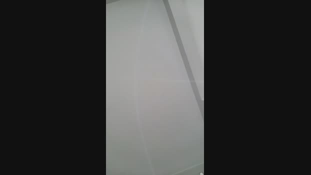 Luppinho  21-10-2023 Recorded Video analtoy