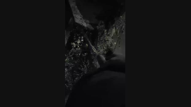 croxtan  22-10-2023 Recorded Video harddick