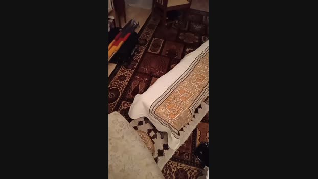 weed_whacker  21-10-2023 Recorded Video gag