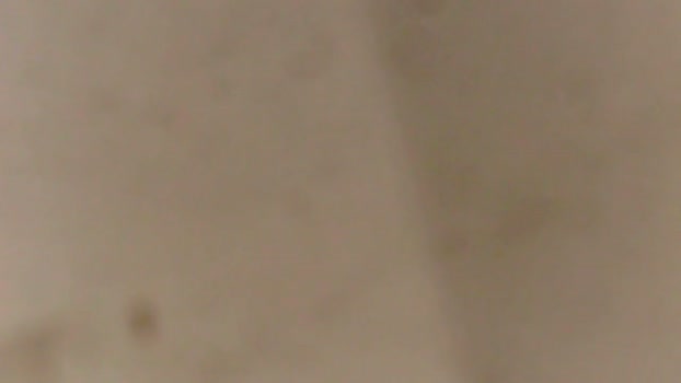 casalmigsusa  23-10-2023 Recorded Video hard