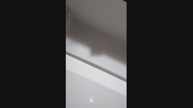 alessandrospain  23-10-2023 Recorded Video toys